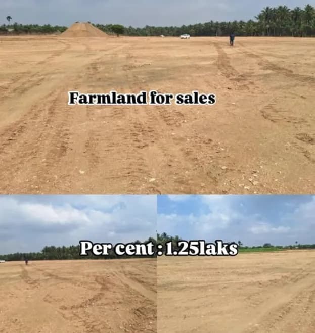 Land for Sale
