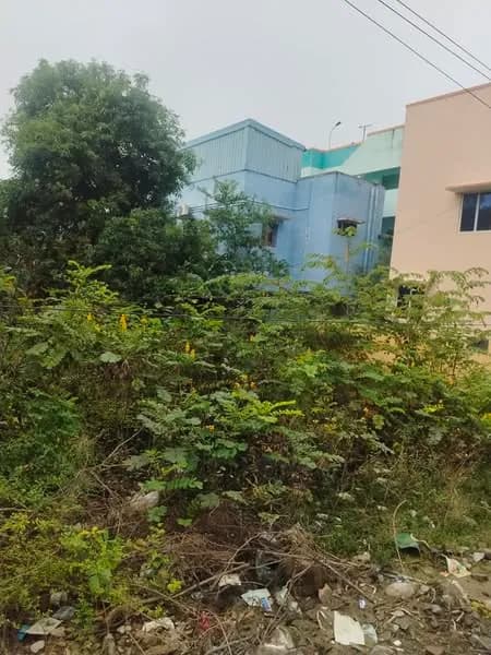 Single Property Image