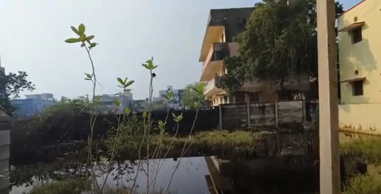 Land for sales