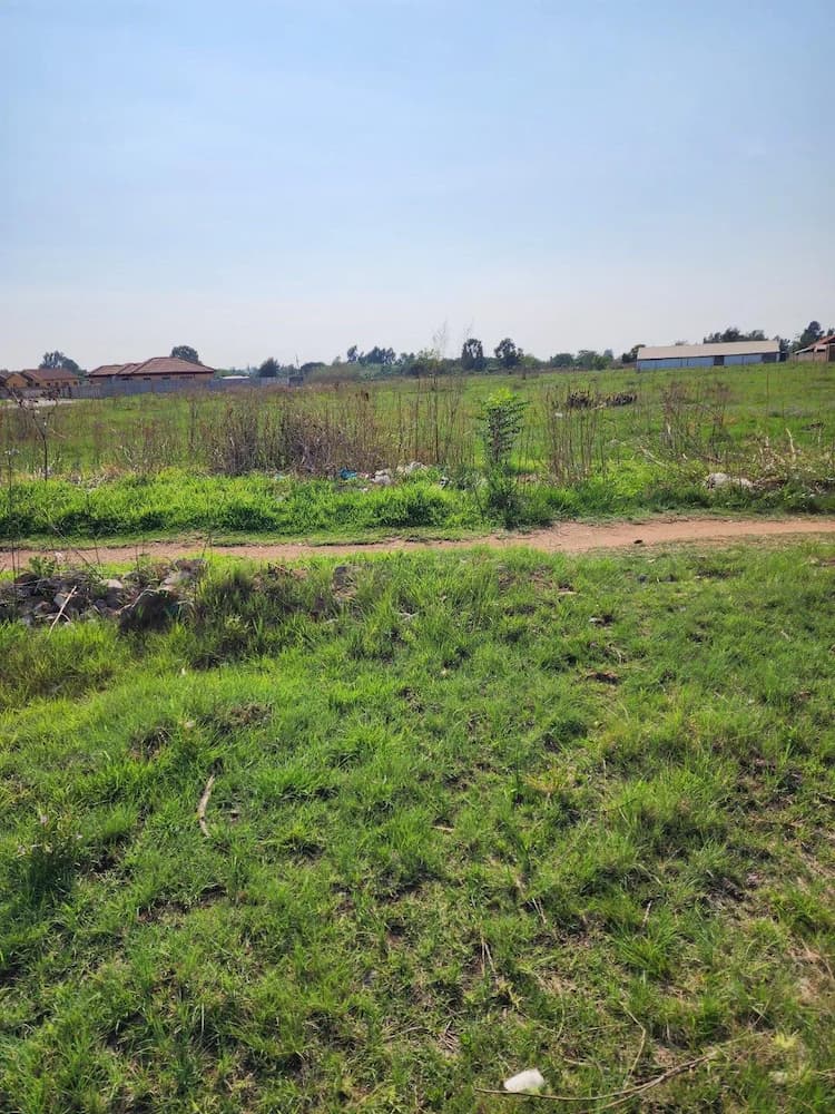 Land for Sale