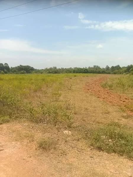 Land for sales