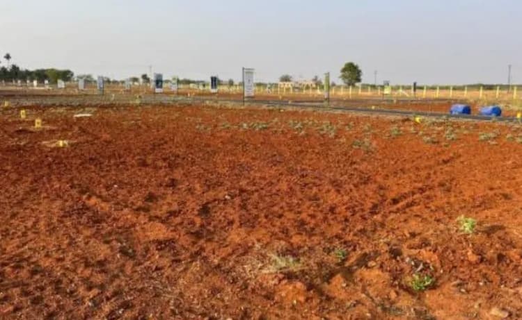 Land for Sale