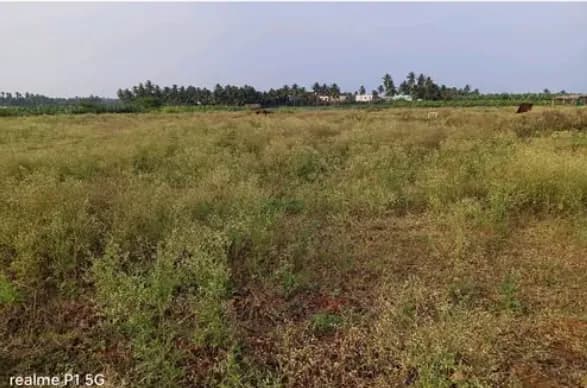 Land for sales