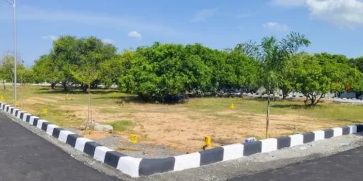 Land for Sale
