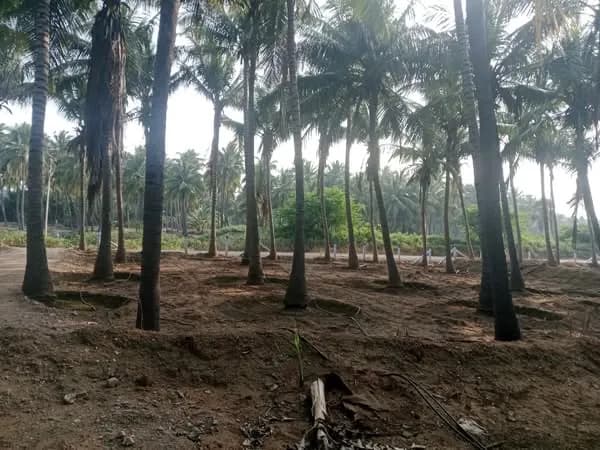 Land for Sale