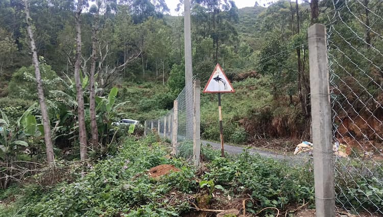 Single Property Image