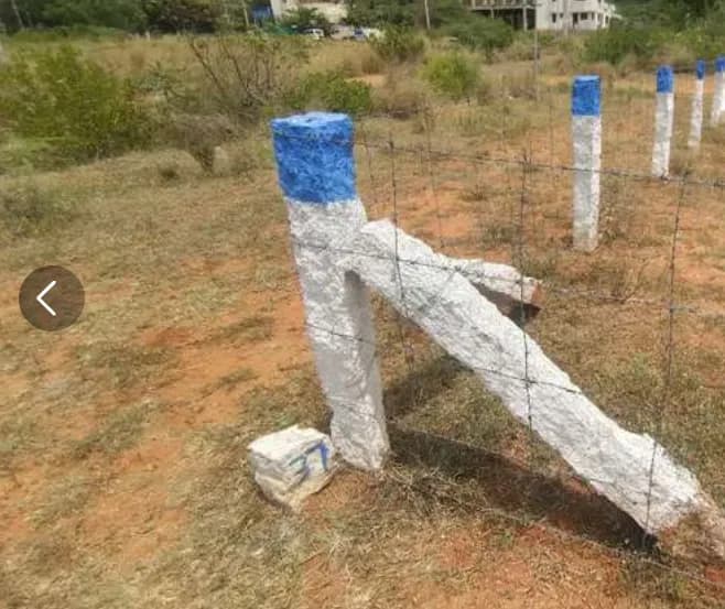 plot for sale