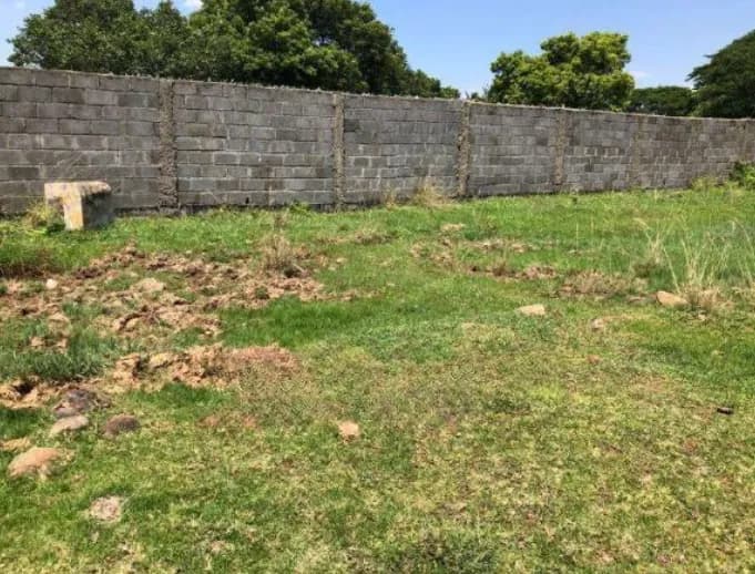 Land for sale