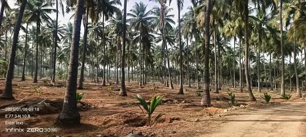 Land for Sale