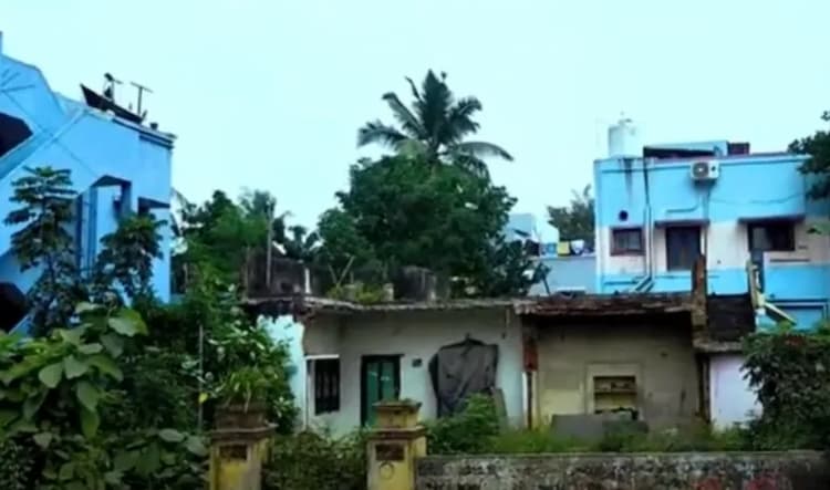 Land for sales