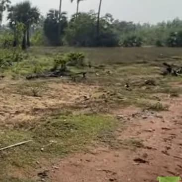 Land for sales