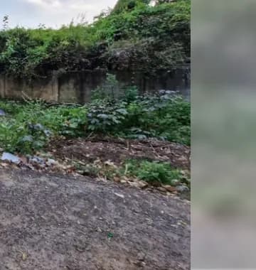 plot for sale 