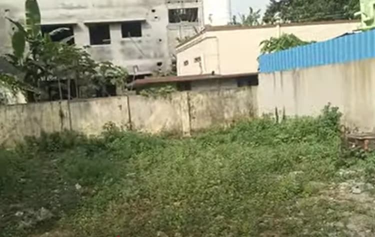 Land for sales