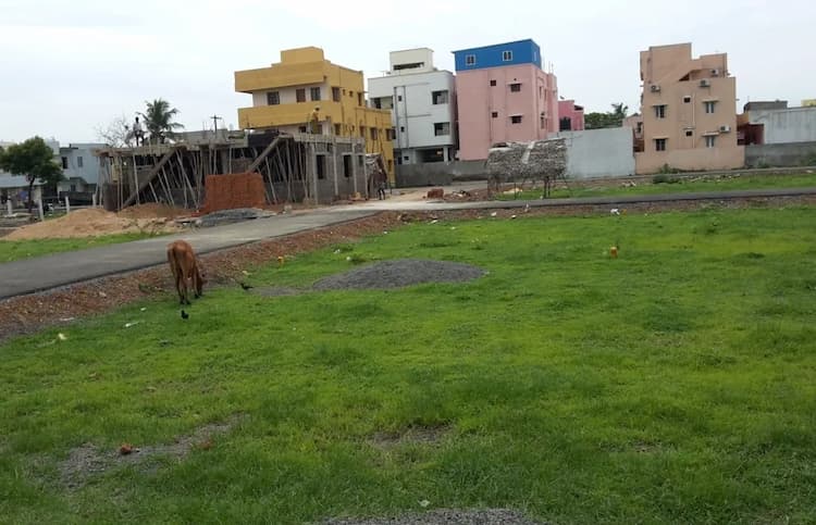 Land for Sale