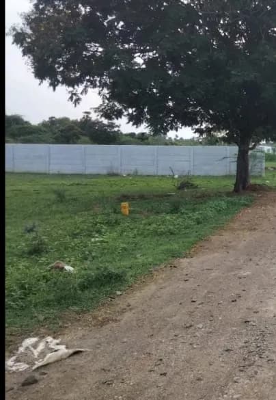 plot for sale