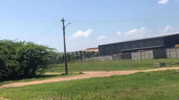 Land for Sale