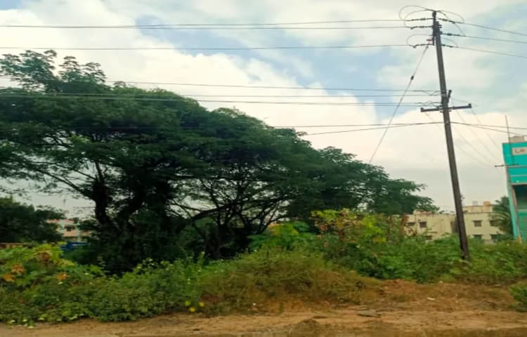 Land for sales
