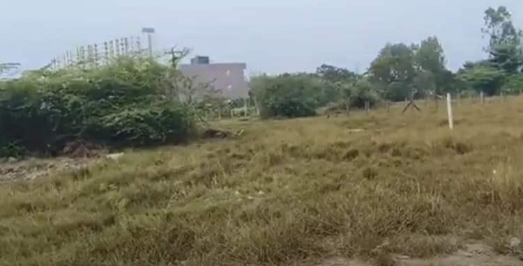 Land for sales