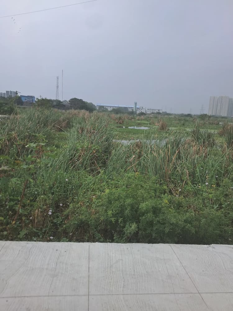 Land for sales