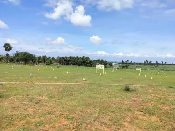 Land for Sale