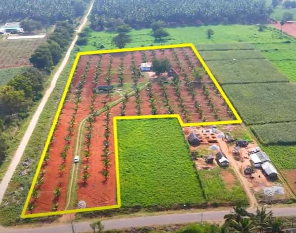 Land with Farm House for Sale