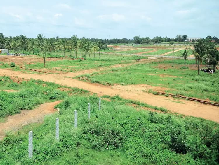 Land for Sale