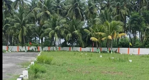 plot for sale 