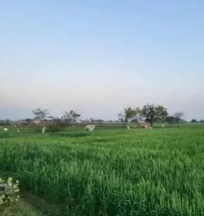 Land for sale