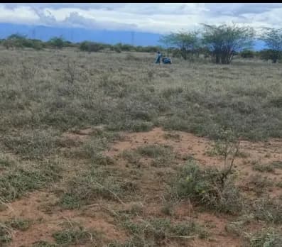 Land for sales