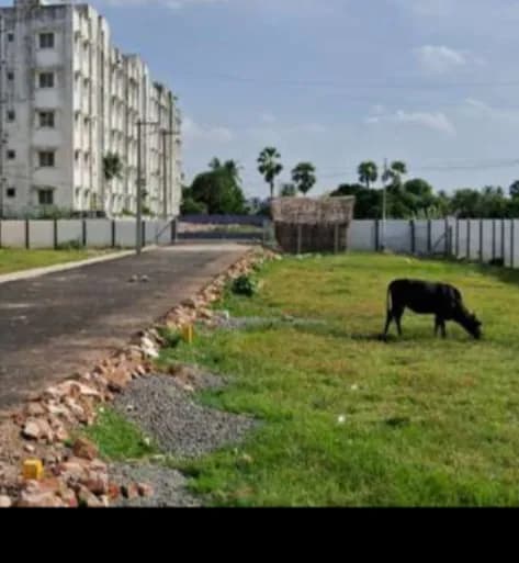 plot for sale 