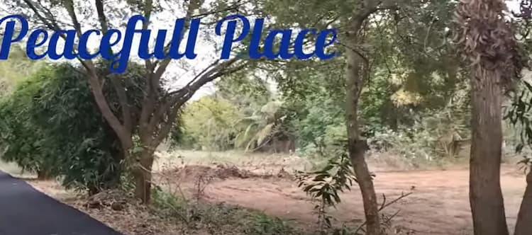 Land for sales