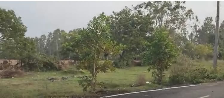 Land for sales