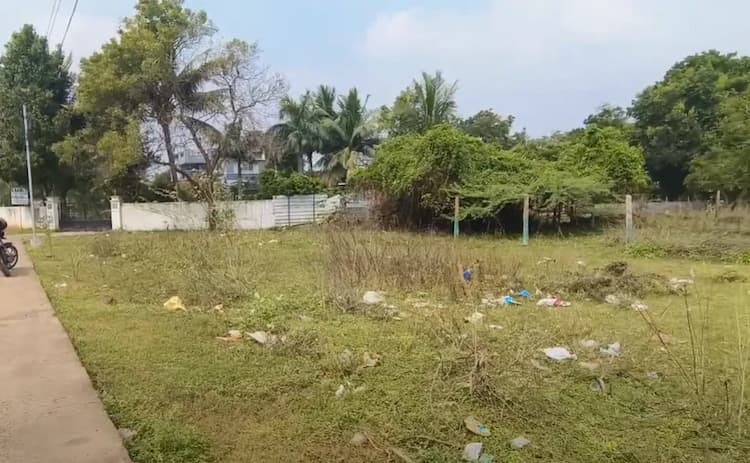 Land for sales