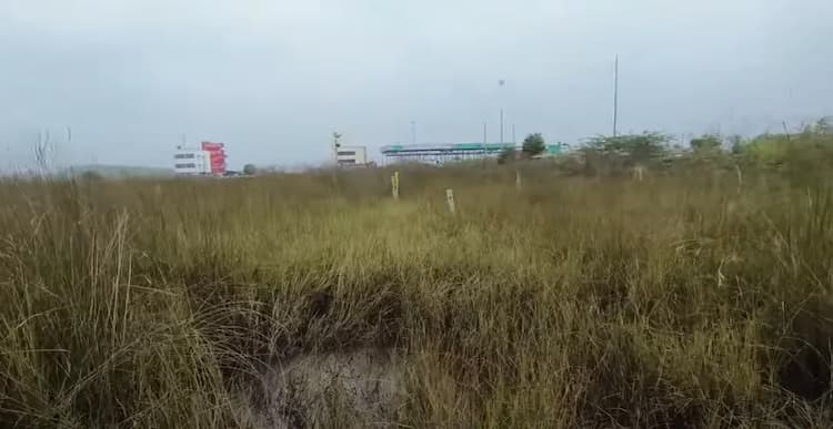 Land for sales