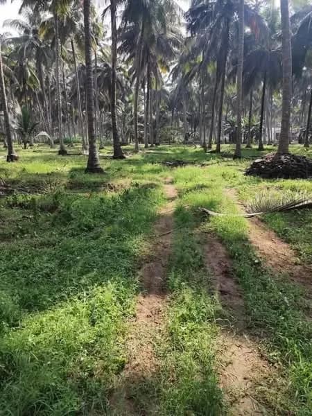 Land for Sale