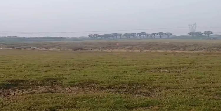 Land for sales