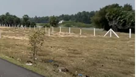 Land for sales