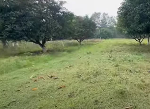 Land for sales