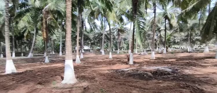 Land for Sale
