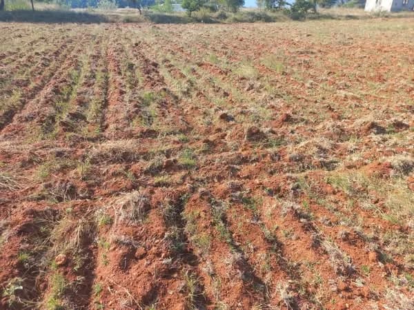 Low Budget Land for Sale