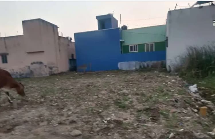 Land for sales