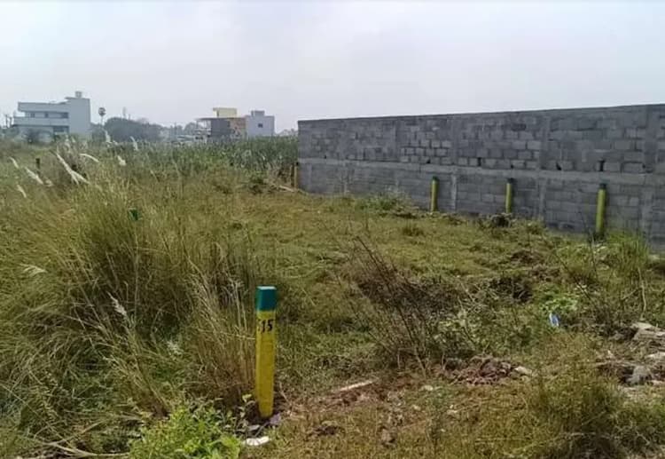 Land for sales