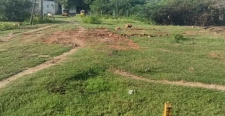 Land for Sale