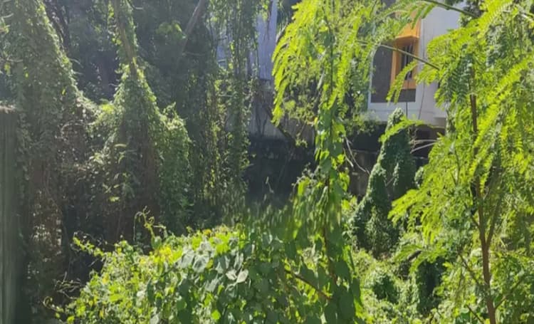 Land for sales