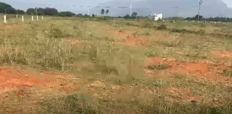 Low Budget Land for Sale