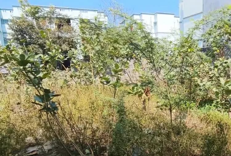 Land for sales