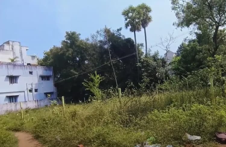 Land for sales
