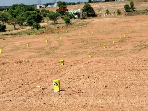 Land for Sale