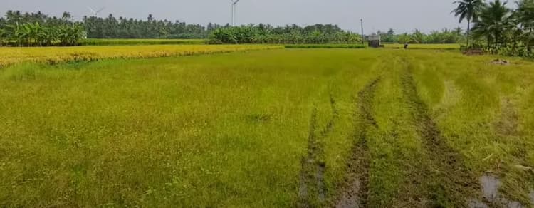Land for sales