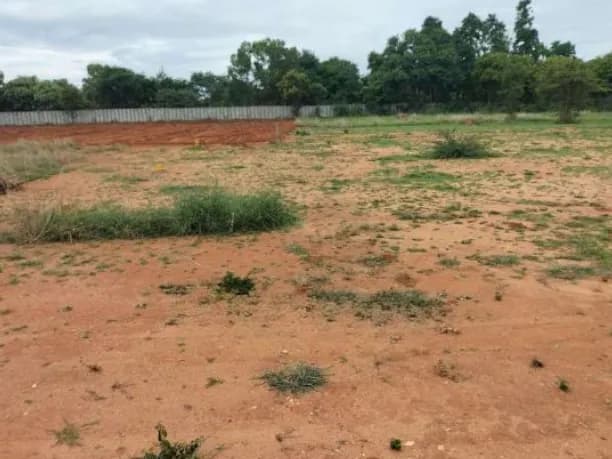 Agriculture Land for Sale